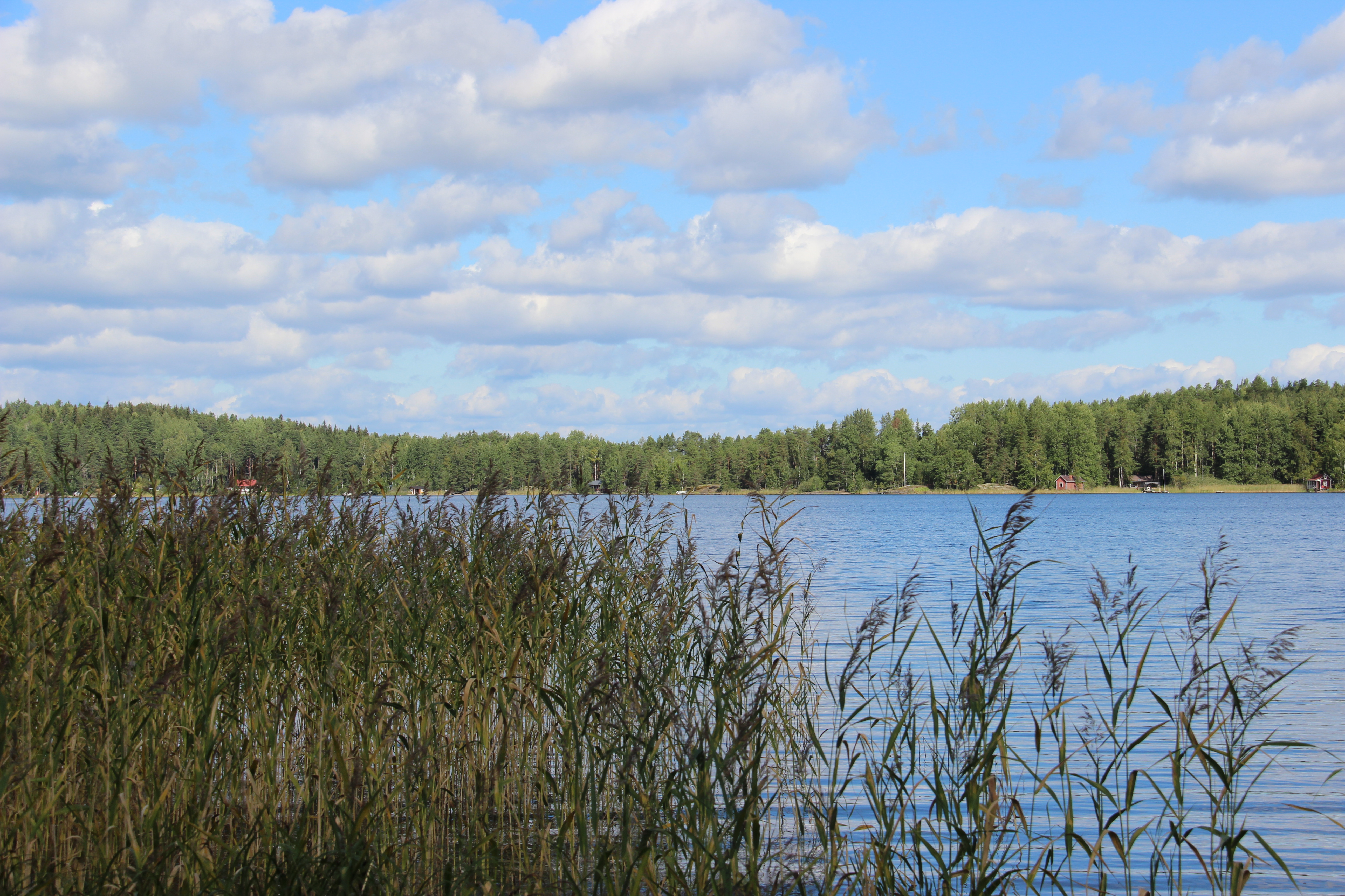 Kivisalmen uimarantaa.